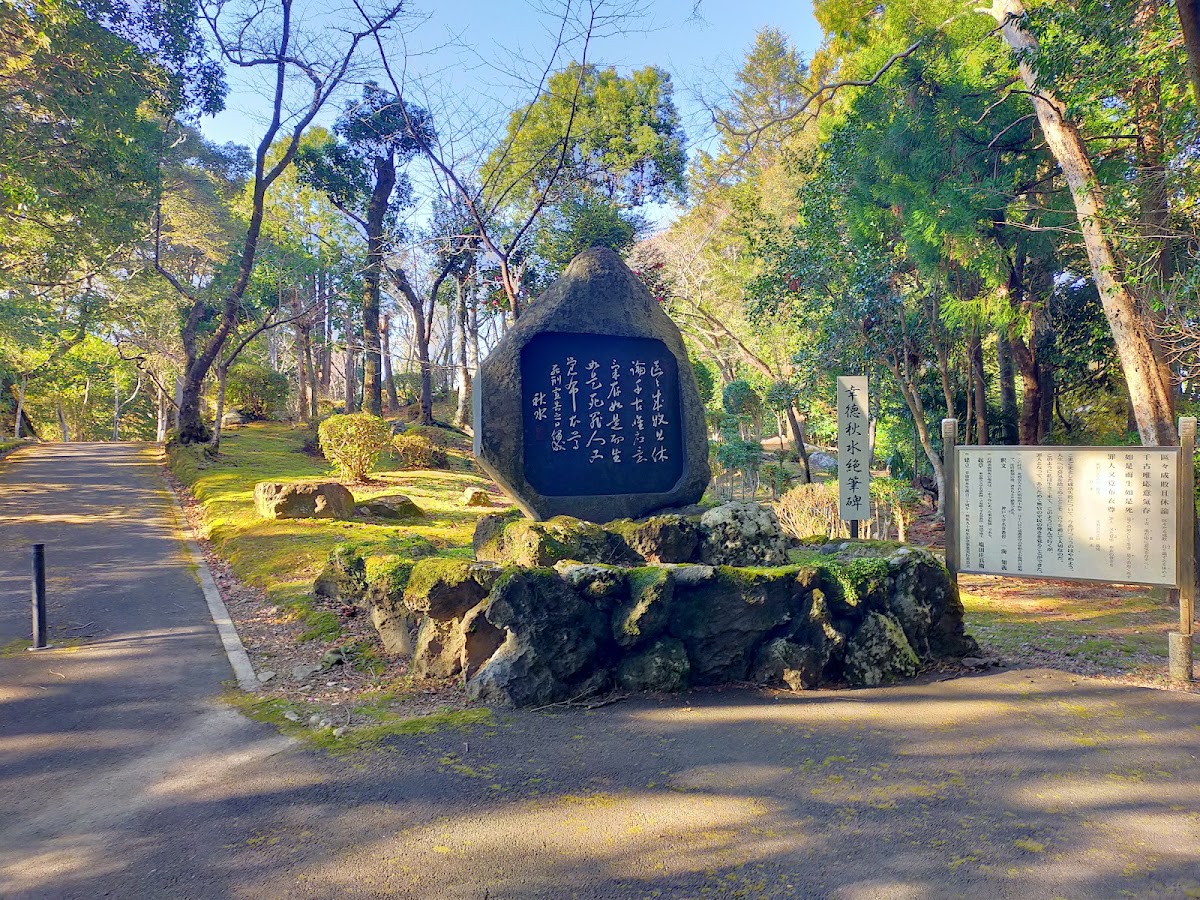 為松公園(高知県四万十市)桜の名所完全ガイド|見頃・アクセス・夜桜情報2025